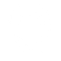 Torn from the Grave US