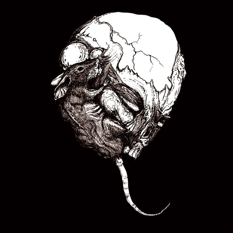 cc3db2415763e76f4ec19cf7c537b078