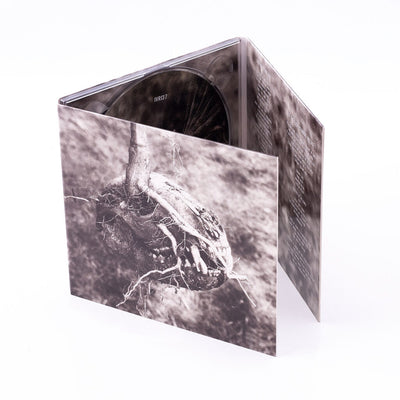 ae8d0639cfbafe7e06f9d2d415cf23fa