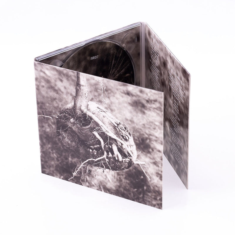 ae8d0639cfbafe7e06f9d2d415cf23fa