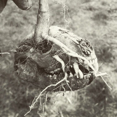 294e1e844d9d9a8baaa9662b787a46cc