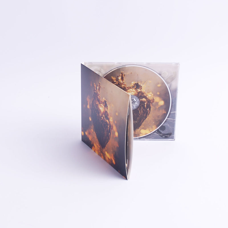 c528dd4808dfc07aa4e94c491d88c0ab