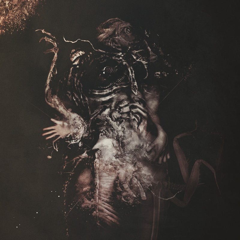 1b73deac58774af15604469893088faf