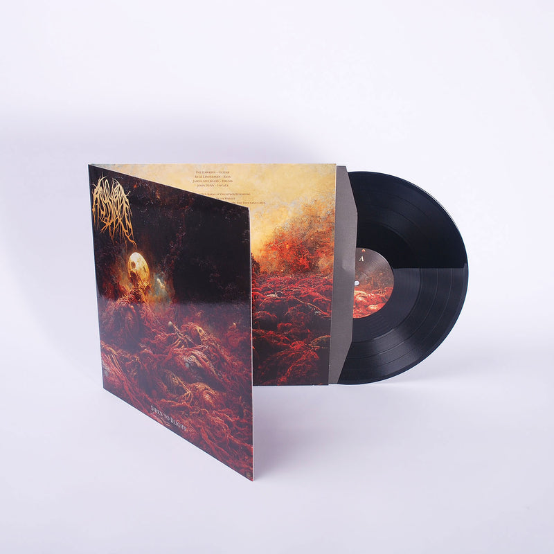 b948ee83b16a5596d6543ea34d78dab6