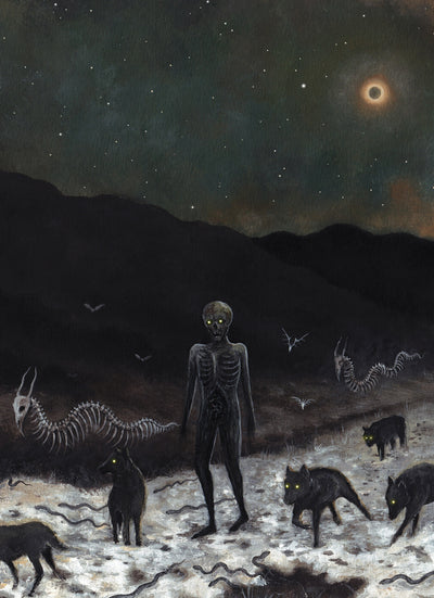 fe0495972dcf23b2e42df48b243f6b54