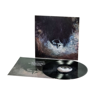 21ed25a5bf323e19fb395990de29da05