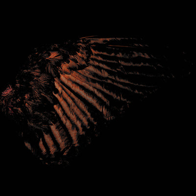 be0c95c08fbf530c15a30d9003d5e6d4