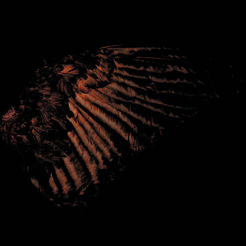 be0c95c08fbf530c15a30d9003d5e6d4