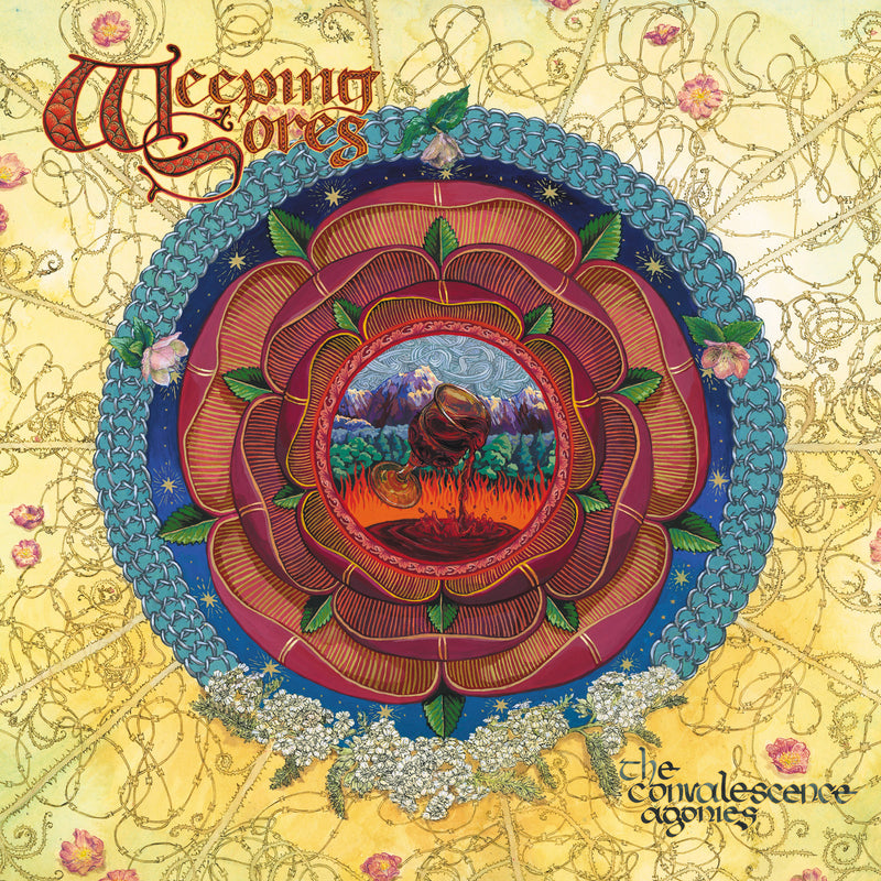 360eecb67334035e7dcbac9993b3b50d