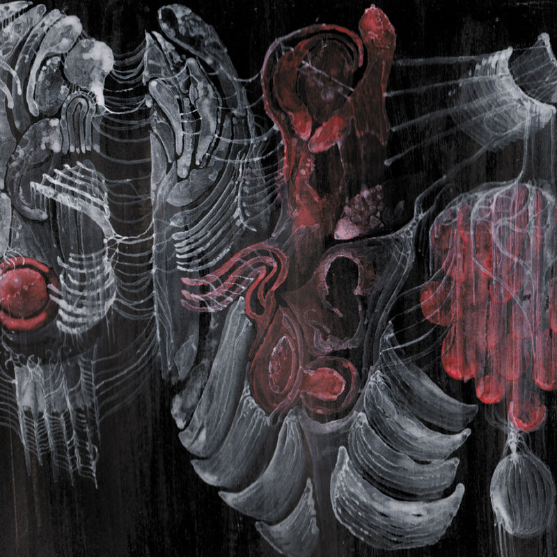 0d2054025494218343fa9d0d61084ac6