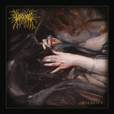 8a892f4e52d78d3f5d22df32ba19532d