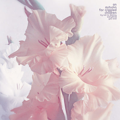 7a1636ce07894d94d3afb90d52b095c3