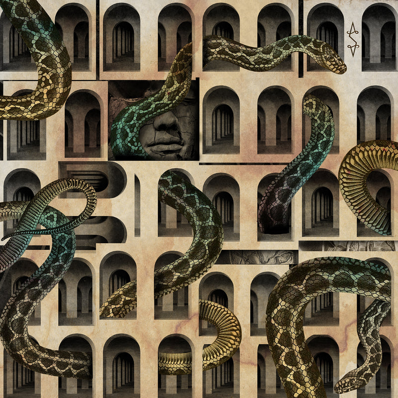 -S- – Dom, w którym mieszkał Wąż (A House Where Dwelled A Snake) LP